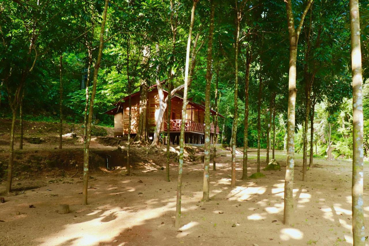 Paradise Eco Garden Kitulgala Luaran gambar