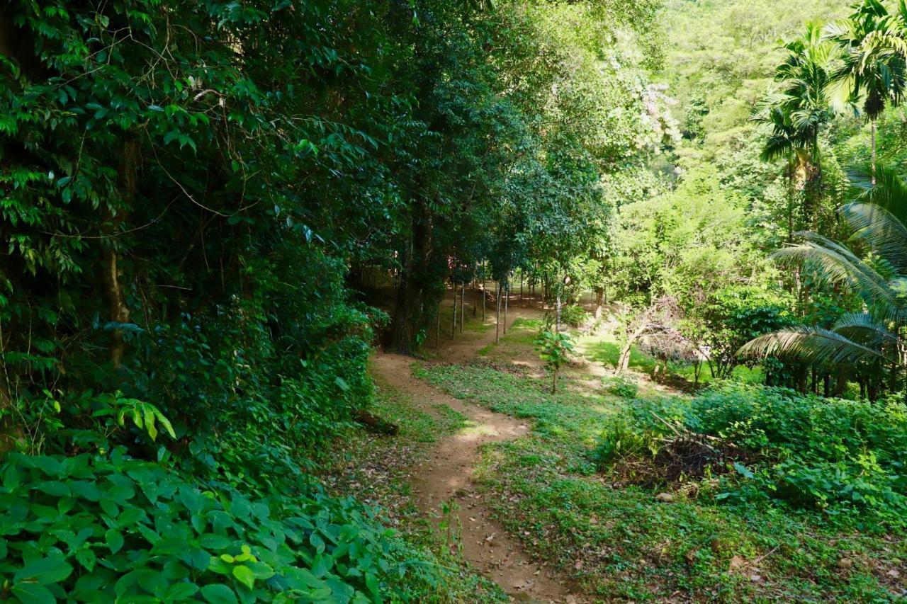 Paradise Eco Garden Hotel Kitulgala Luaran gambar
