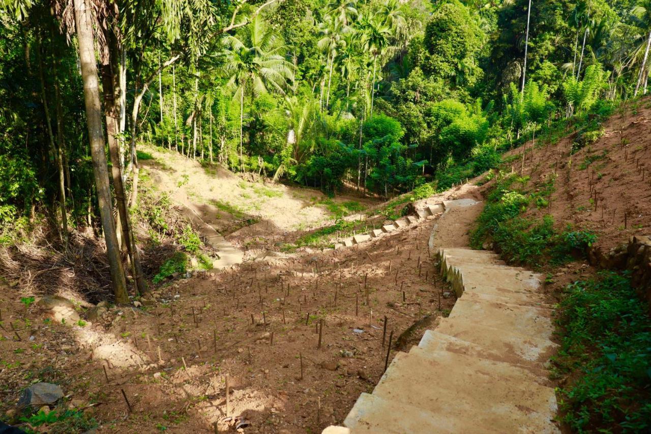 Paradise Eco Garden Kitulgala Luaran gambar